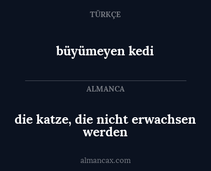 büyümeyen kedi - die katze, die nicht erwachsen werden