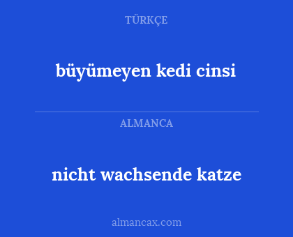nicht wachsende katze - büyümeyen kedi cinsi