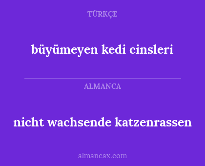 nicht wachsende katzenrassen - büyümeyen kedi cinsleri