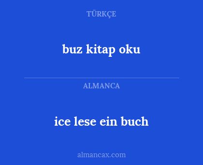 ice lese ein buch - buz kitap oku