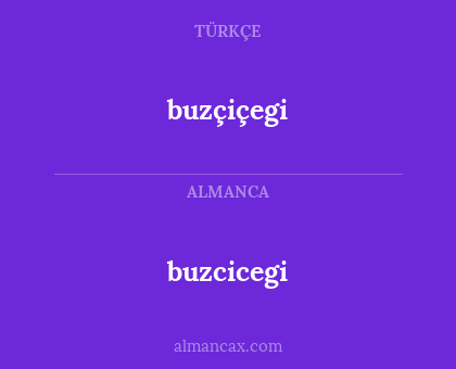 buzcicegi - buzçiçegi