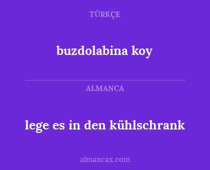 buzdolabina koy - lege es in den kühlschrank