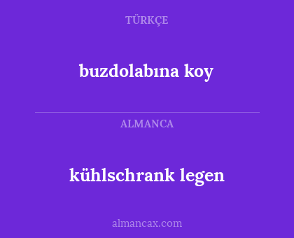 buzdolabına koy - kühlschrank legen