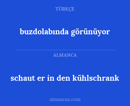 buzdolabında görünüyor - schaut er in den kühlschrank