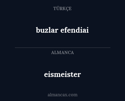 eismeister - buzlar efendiai