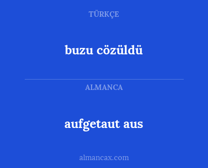 aufgetaut aus - buzu cözüldü