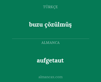 aufgetaut - buzu çözülmüş