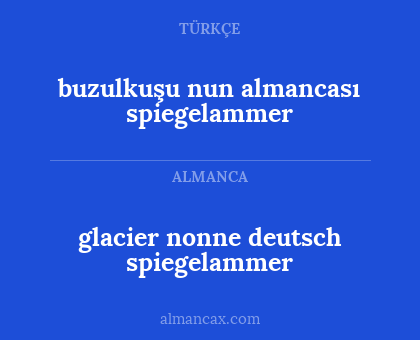 glacier nonne deutsch spiegelammer - buzulkuşu nun almancası spiegelammer