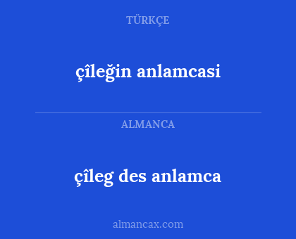 çîleg des anlamca - çîleğin anlamcasi