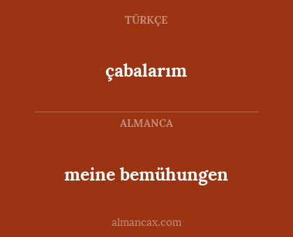 çabalarım - meine bemühungen
