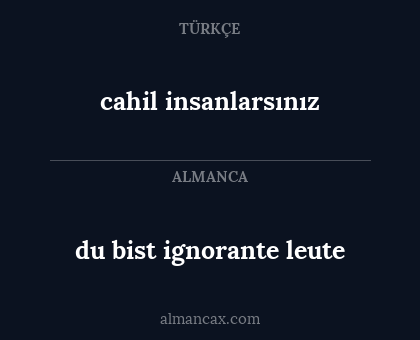du bist ignorante leute - cahil insanlarsınız