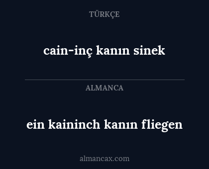cain-inç kanın sinek - ein kaininch kanın fliegen