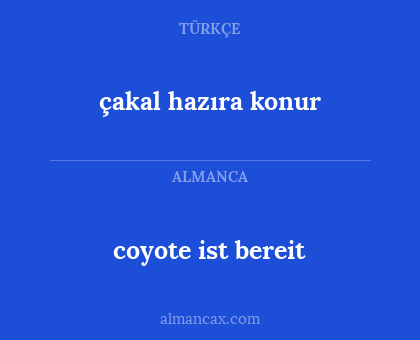 çakal hazıra konur - coyote ist bereit