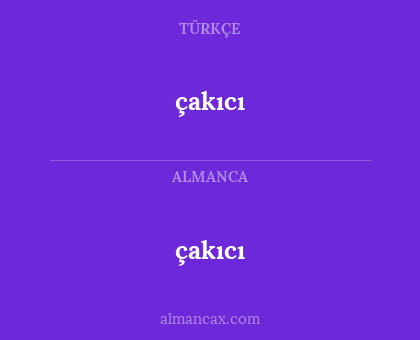 çakıcı - çakıcı
