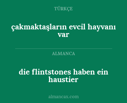 çakmaktaşların evcil hayvanı var - die flintstones haben ein haustier