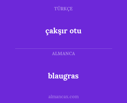 çakşır otu - blaugras