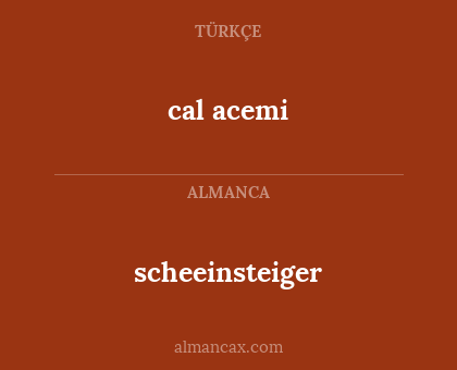scheeinsteiger - cal acemi