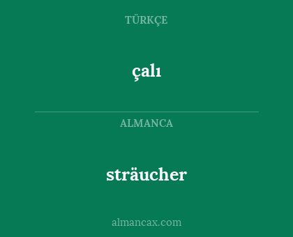 çalı - sträucher