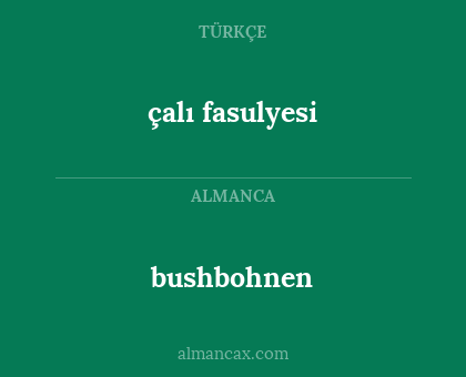 bushbohnen - çalı fasulyesi
