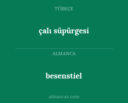besenstiel - çalı süpürgesi