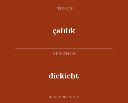 çalılık - dickicht
