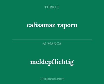 calisamaz raporu - meldepflichtig