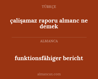 funktionsfähiger bericht - çalişamaz raporu
almanc ne demek