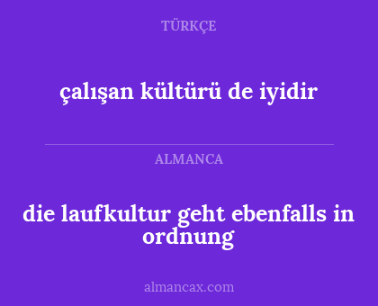 çalışan kültürü de iyidir - die laufkultur geht ebenfalls in ordnung