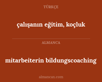 mitarbeiterin bildungscoaching - çalışanın eğitim, koçluk