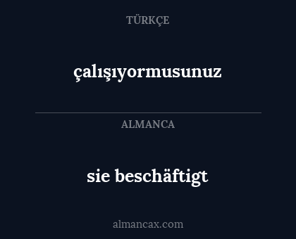 sie beschäftigt - çalışıyormusunuz