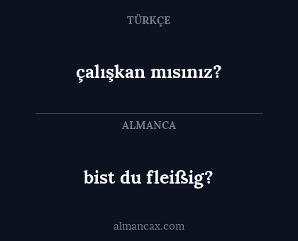 bist du fleißig? - çalışkan mısınız?