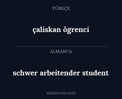 çaliskan ögrenci - schwer arbeitender student