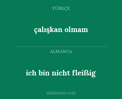 ich bin nicht fleißig - çalışkan olmam