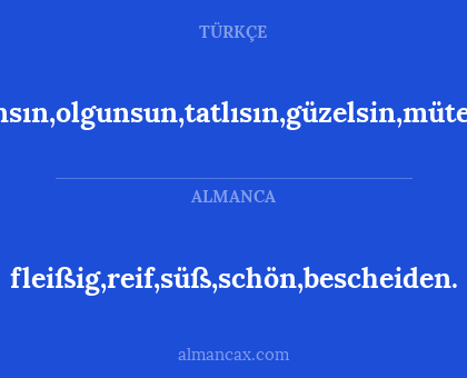 çalışkansın,olgunsun,tatlısın,güzelsin,mütevazısın. - fleißig,reif,süß,schön,bescheiden.