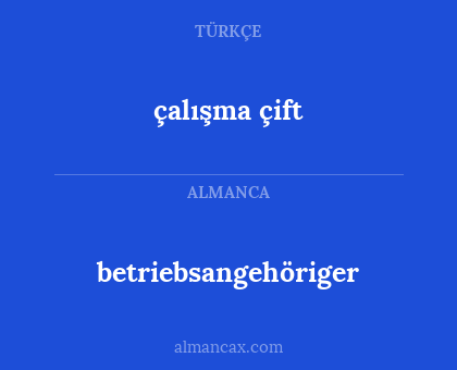 çalışma çift - betriebsangehöriger