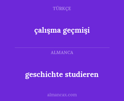 çalışma geçmişi - geschichte studieren