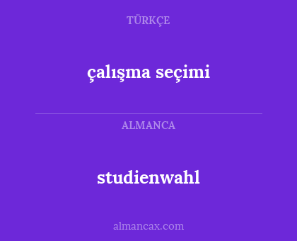 çalışma seçimi - studienwahl