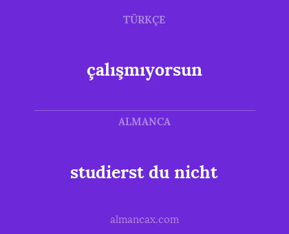 çalışmıyorsun - studierst du nicht