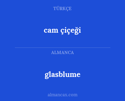 cam çiçeği - glasblume