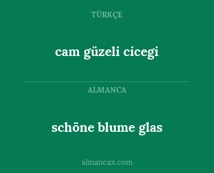 cam güzeli cicegi - schöne blume glas