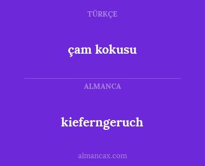 kieferngeruch - çam kokusu