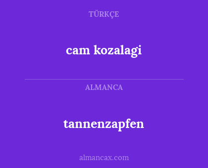 cam kozalagi - tannenzapfen