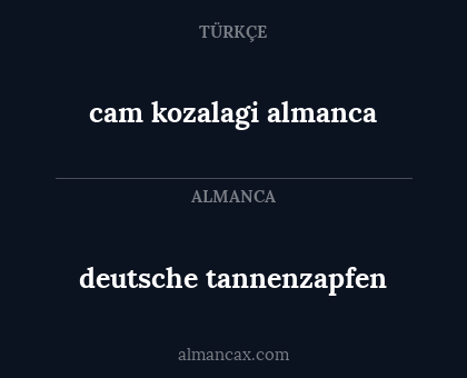 deutsche tannenzapfen - cam kozalagi almanca