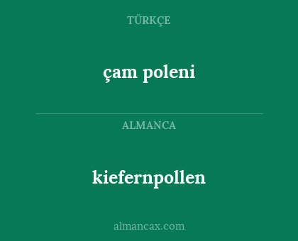 kiefernpollen - çam poleni
