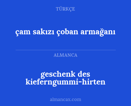 geschenk des kieferngummi-hirten - çam sakızı çoban armağanı