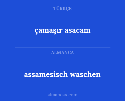 assamesisch waschen - çamaşır asacam