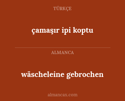 wäscheleine gebrochen - çamaşır ipi koptu