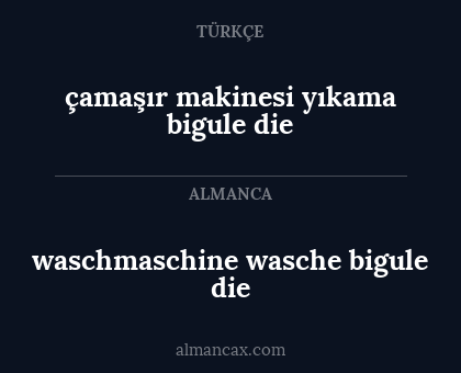 waschmaschine wasche bigule die - çamaşır makinesi yıkama bigule die