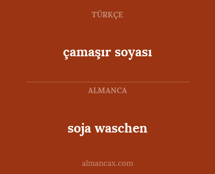 soja waschen - çamaşır soyası