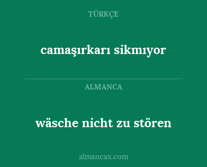wäsche nicht zu stören - camaşırkarı sikmıyor